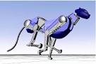Darpa's Cheetah-Bot Designed to Chase Human Prey | Danger Room ...