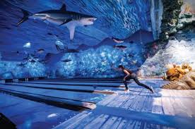 Image result for Seamer Bowling Club