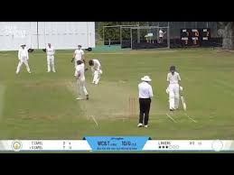 Image result for Nazeing Common Cricket Club