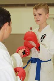 Image result for Thatcham Wado Karate Club