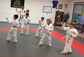 Image result for Soncho Karate Club