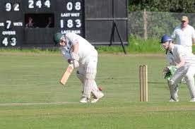 Image result for Redlynch and Hale Cricket Club