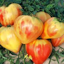 Afbeeldingsresultaat voor belarus orange tomato