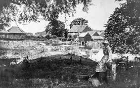 Image result for Snettisham Cc