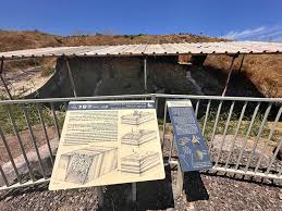 Image result for seppi tehron