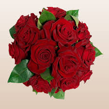 Image result for Red Rose Cc