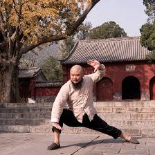 Image result for kung fu