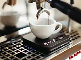 Attēlu rezultāti vaicājumam “Licea minima macro”