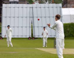 Image result for Bradfield Cricket Club
