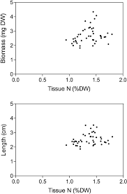 Attēlu rezultāti vaicājumam “Drepanocladus trifarius”