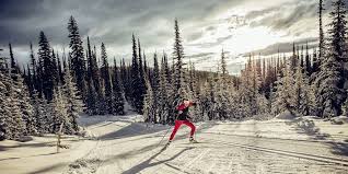 Image result for Inverness Nordic Ski Club