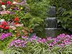 Flower Garden plants Wallpaper