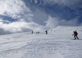 Image result for Tyneside Loipers