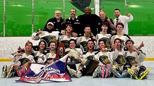 Image result for Dundee Ducks inline roller hockey club