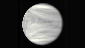 Image result for venus