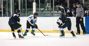 Image result for Mid Surrey Ladies Hockey Club