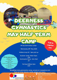 Image result for Deerness Valley Hpc Gymnastics Club