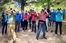 Image result for Cedars Badminton Club