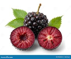 Attēlu rezultāti vaicājumam “Rubus plicatus fruit”