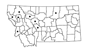 Attēlu rezultāti vaicājumam “Platydictya jungermannioides”