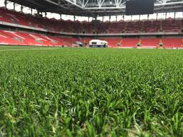 Image result for Astroturf