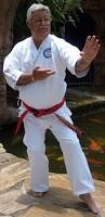 Image result for Budo Shin Ryu Kempo Jujitsu Academy