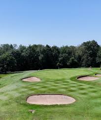 Image result for Thames Ditton & Esher Golf Club