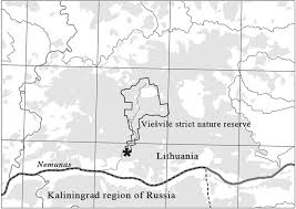 Attēlu rezultāti vaicājumam “Carex disperma”