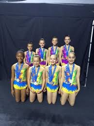 Image result for South Essex Gymnastics Club