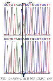 Image result for    Ȃ  