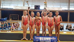 Image result for Heathrow Gymnastics Club