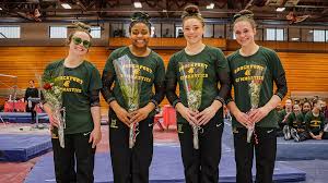 Image result for Hemsworth Odyssey Gymnastics Squad