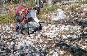 Image result for SEM micrographs of Novaculite Arkansas