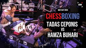 Image result for Islington Chessboxing Club