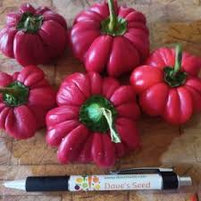 Afbeeldingsresultaat voor hungarian sweet apple sweet pepper