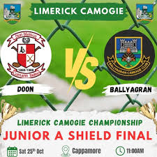 Image result for Limerick Draughts Club