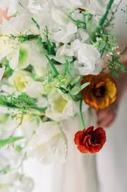 Attēlu rezultāti vaicājumam “Ranunculus mendax flower”