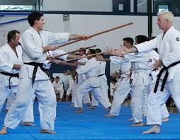 Image result for Goryukai Aikido Yoshinkan (Chichester)