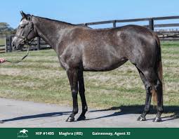 Image result for Bletchingly Badminton Club