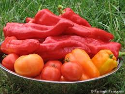 Afbeeldingsresultaat voor aconcagua sweet pepper