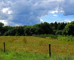 Image result for Heemtuin Rucphen