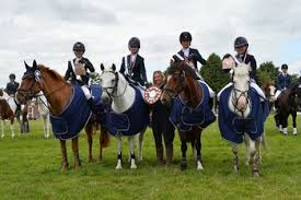 Image result for Shey Copse Riding Centre