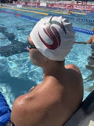 Image result for Elmbridge Phoenix Swimming Club