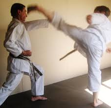 Image result for Addlestone Shotokan Karate Club