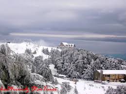 الثلج الذي كسى معظم ولايات الجزائر Images?q=tbn:ANd9GcRUPzbyETbKAtK46SOLiHkuIFaL7y6cDqVdiM1gUFQMFVgD02MG