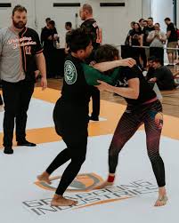 Image result for Full Element Mixed Martial Arts