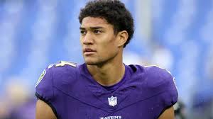 Image result for Hamilton Panthers Association Football Club