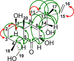 Attēlu rezultāti vaicājumam “Rosellinia desmazieri spores”