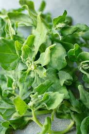 Image result for Neuseeländer Salat