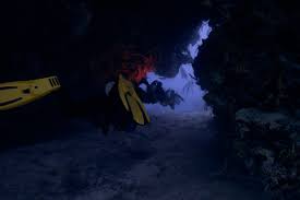 Image result for S England Dive Devil